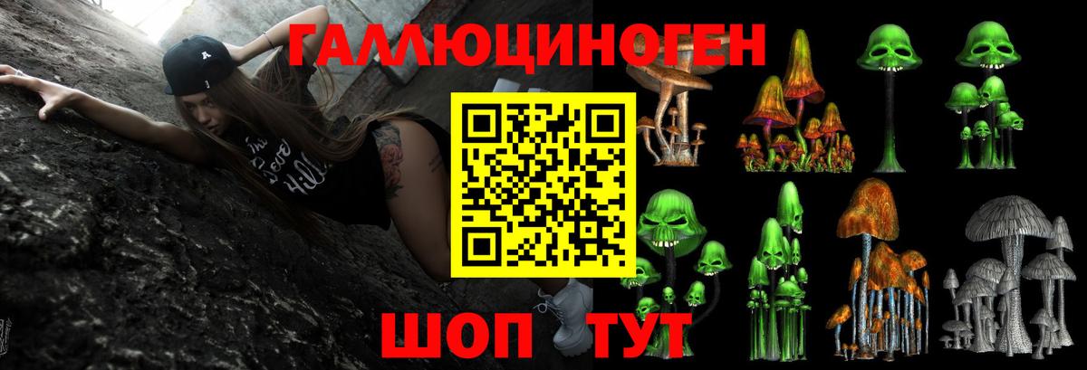 Галлюциногенные грибы Psilocybine cubensis  Вход с VPN  как найти наркотики  Алейск 