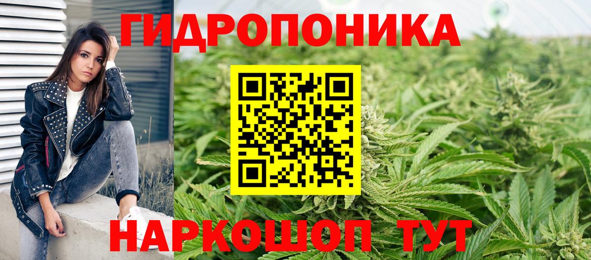 Бошки марихуана White Widow Алейск